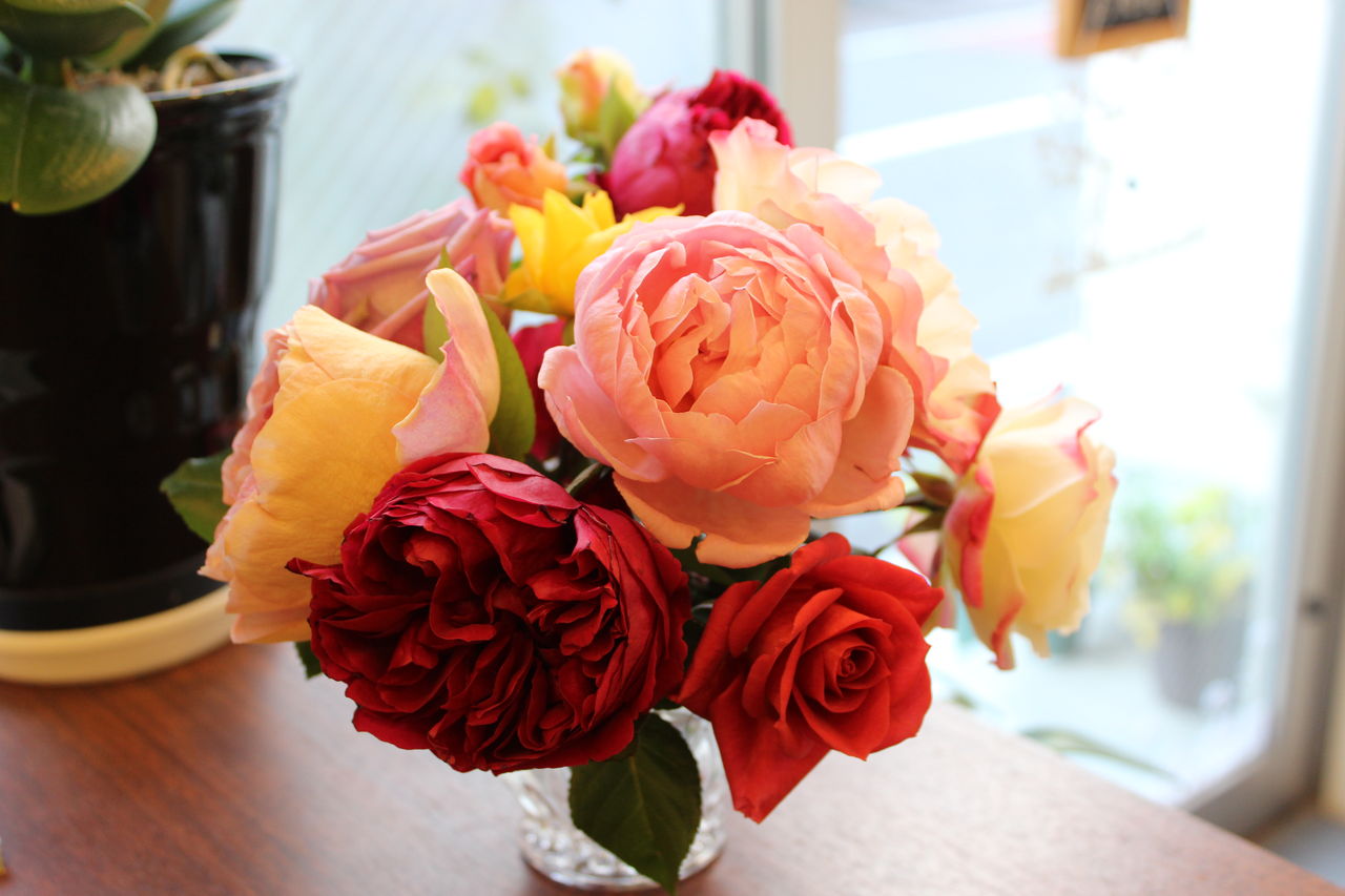 ミニバラ Forever Rose Fleur De La Rose ミニバラ Forever Rose Fleur De La Rose