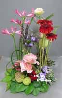 gardenstyle1