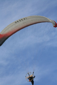 2590°ÂÆ£ÌÐͺ