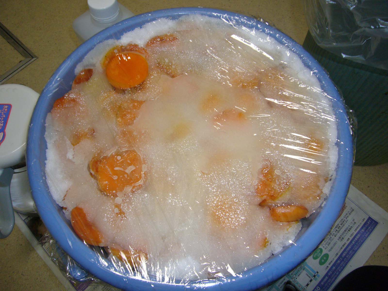 杏の実を収穫 ｄｉａｒｙ Of Fｌｏｒａ