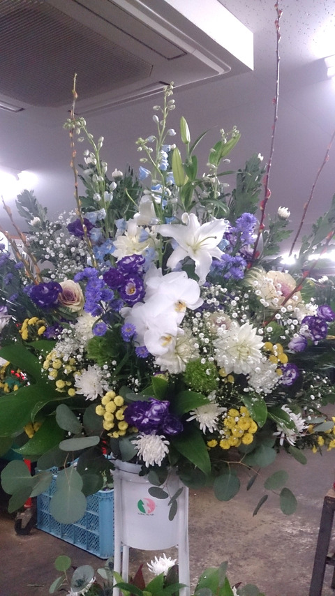 11月21日道庁スタンド②