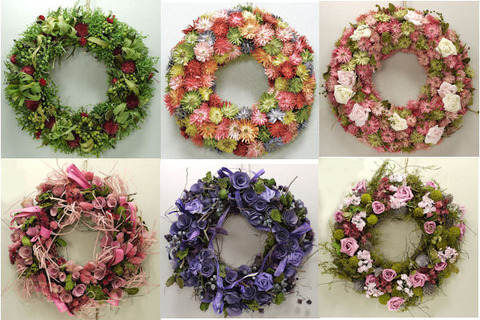 ブログ用春リース