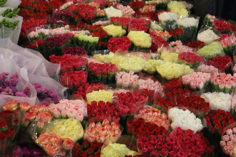 482056_150147791821261_1359466053_n