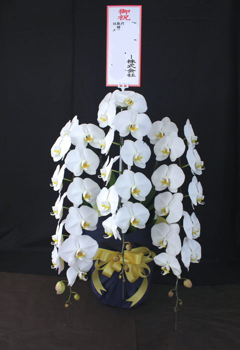 3.28札幌国際観光株式会社ブログ