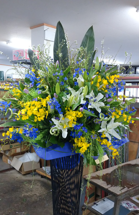 開店ユリオンシデルフィ