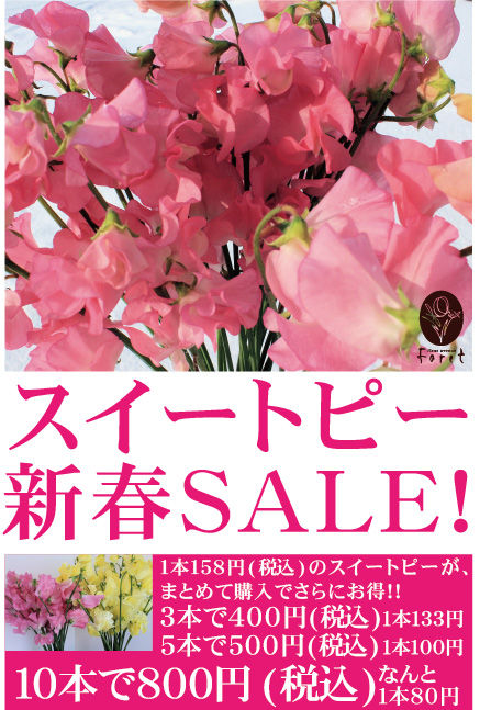 スイートピー新春SAELポスター