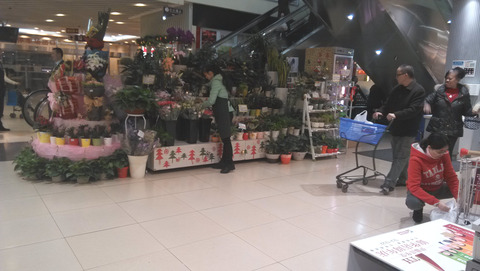 ｲﾄｰﾖｰｶﾄﾞｰ