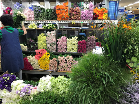 花市場①