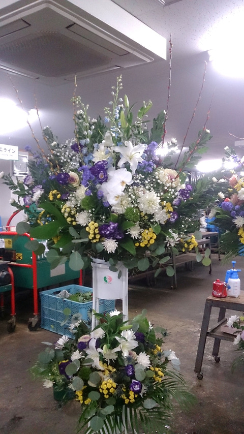 11月21日道庁スタンド①