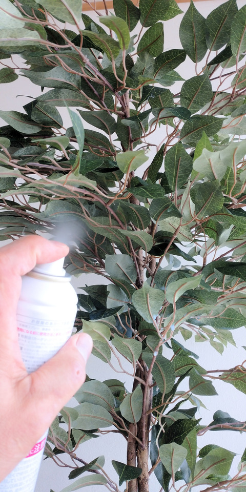 造花ベンジャミンフィッカス1.8m光触媒加工ｽﾌﾟﾚｰの様子