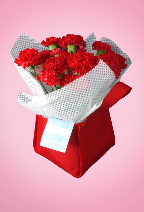 バックカーネ赤ピンク