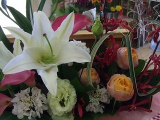 20090130 518