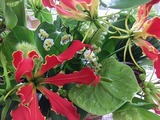 20090130 054