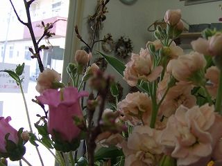 20090130 767