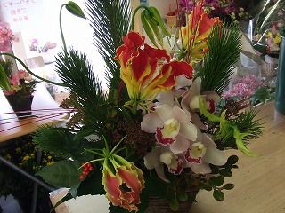 20090130 514