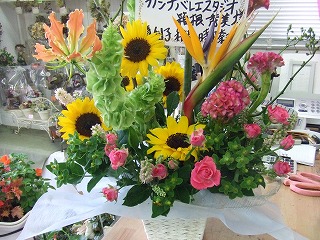 20090130 440