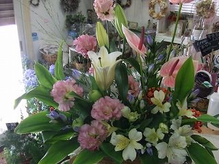 20090130 455
