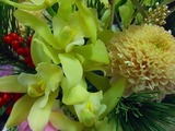 20090118 008