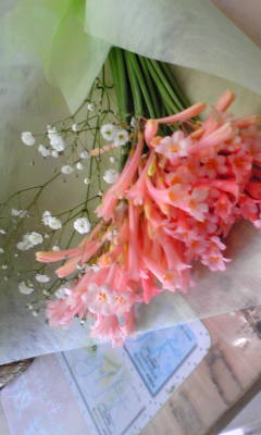 kirutannsasu