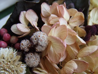 20090130 177