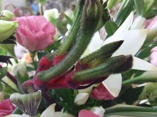 20090130 671