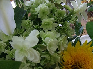 20090130 414