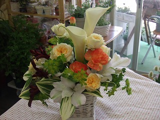 20090130 026