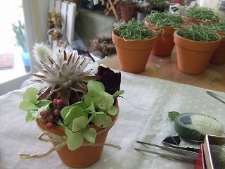 20090130 589