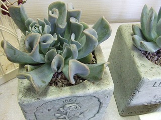 20090130 405