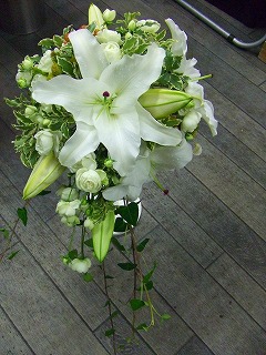 ���㥹������a