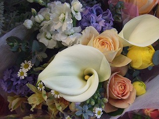 20090130 323
