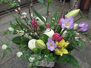 20090130 519