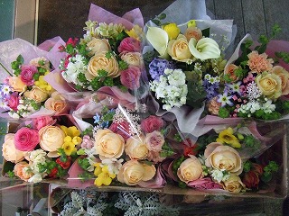 20090130 325