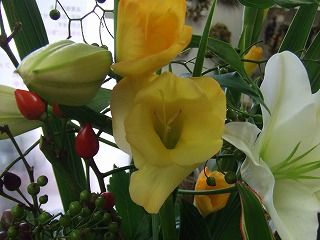 20090130 662