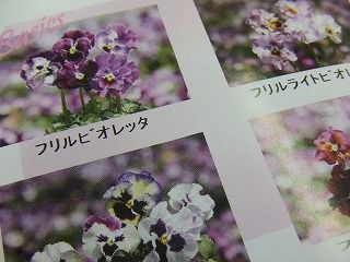 20090130 485