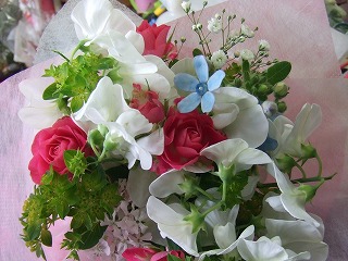 20090130 329