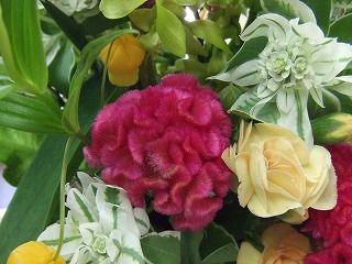 20090130 669