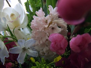 20090130 304