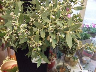 20090130 812