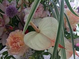 20090130 034