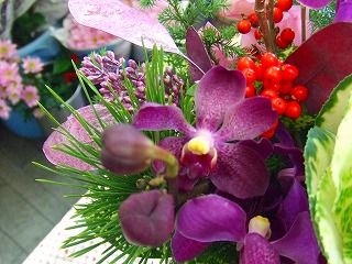 20090118 012