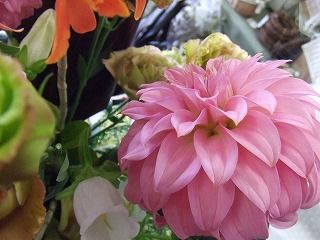 20090130 777