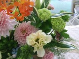20090130 033