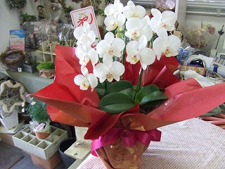 20090130 330