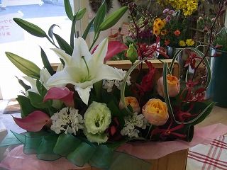 20090130 517
