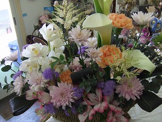 20090130 344