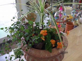 20090130 061