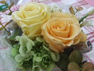 20090130 571
