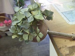 20090130 798