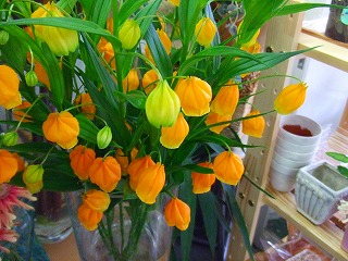 sannda-